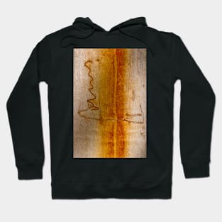 Scribbly Gum Bark Hoodie